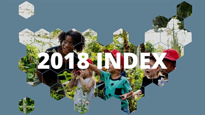 2018 Index