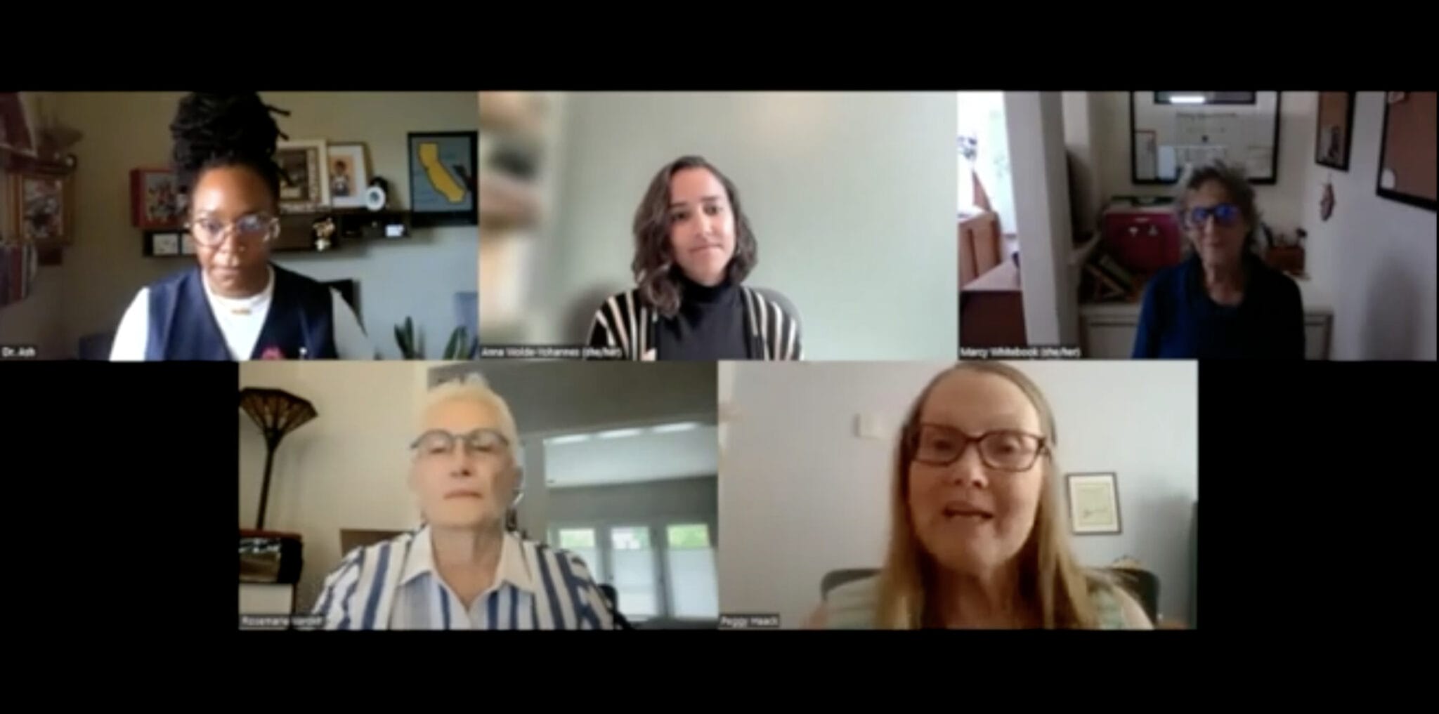 Screenshot of a Zoom call with five women of various ages